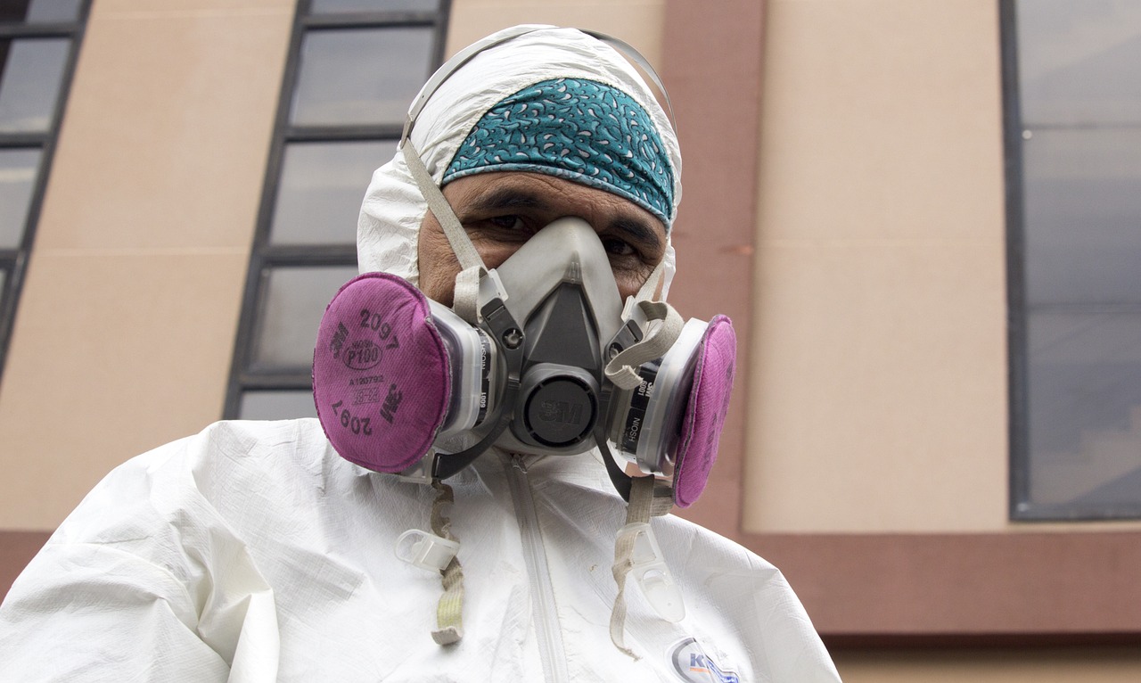 Jak zwalczyć szkodniki: skuteczne metody dla Twojego domu