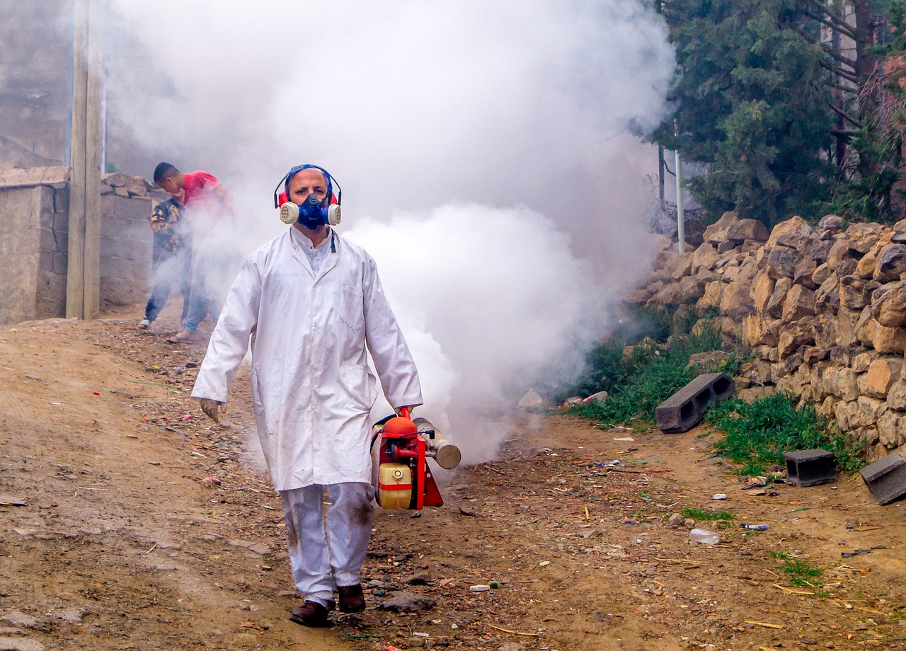 Jak skutecznie pozbyć się szkodników w przestrzeni mieszkalnej