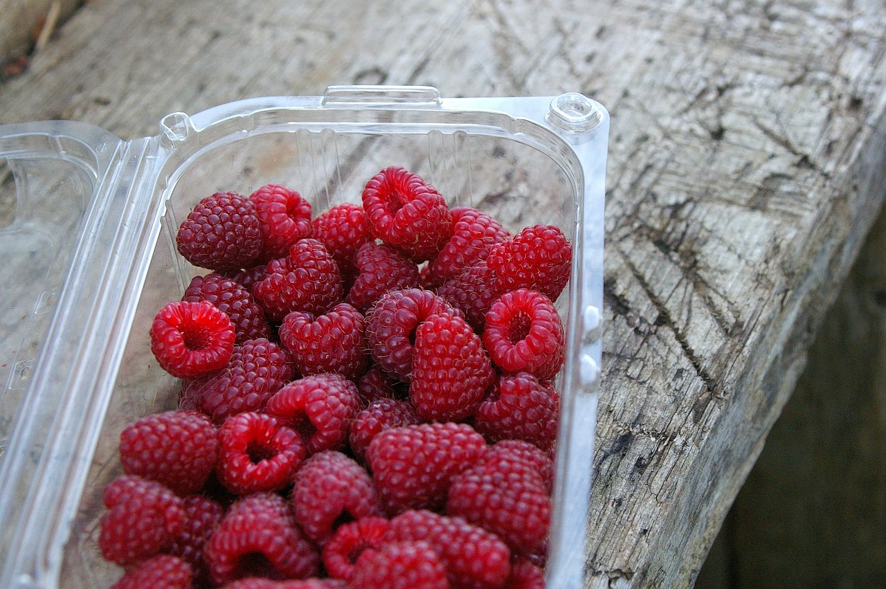 Innowacje w branży tworzyw sztucznych: ekologia i technologia